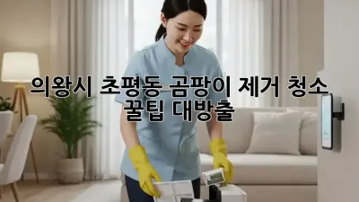 🏡 의왕시 초평동 곰팡이 제거 청소, ✨ 꿀팁 대방출!