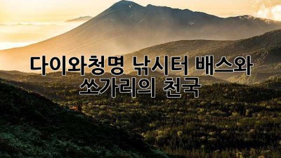 다이와청명 낚시터: 배스와 쏘가리의 천국